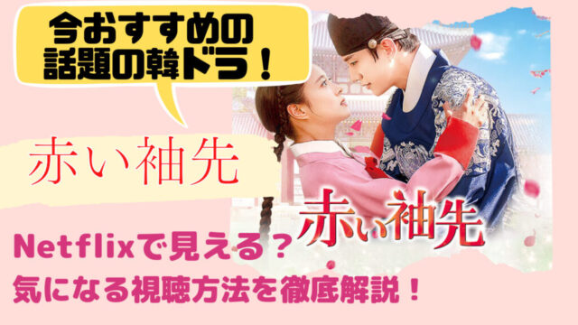 赤い袖先　視聴方法