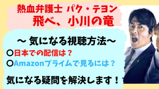 【飛べ小川の竜】日本配信どこで見れる？あらすじや見どころも！