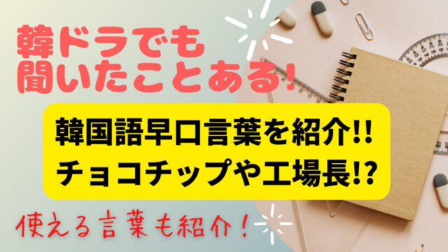 【韓ドラでも聞いたことある】韓国語早口言葉！チョコチップや工場長！